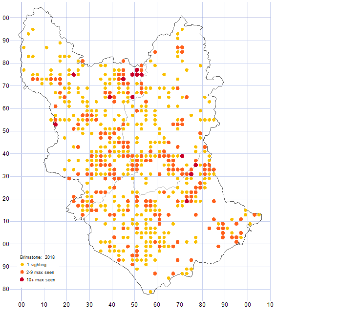 Brimstone distribution map 2018