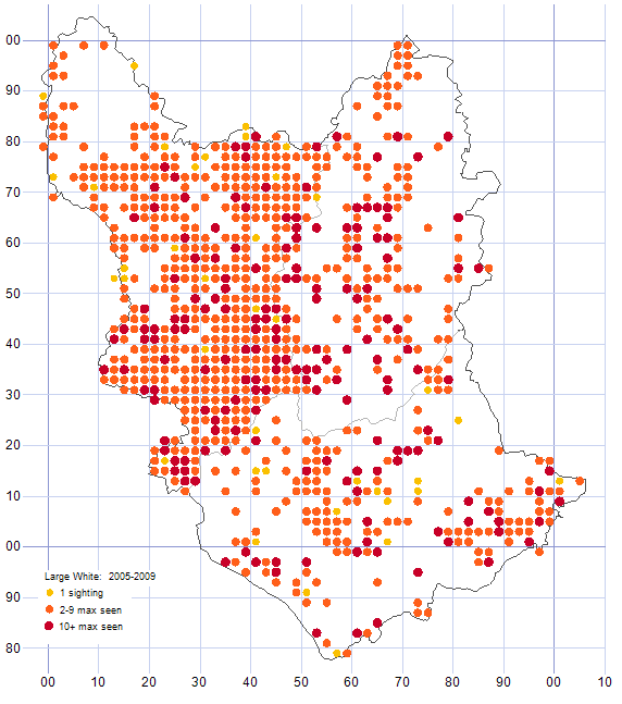 Large White distribution map 2005-09