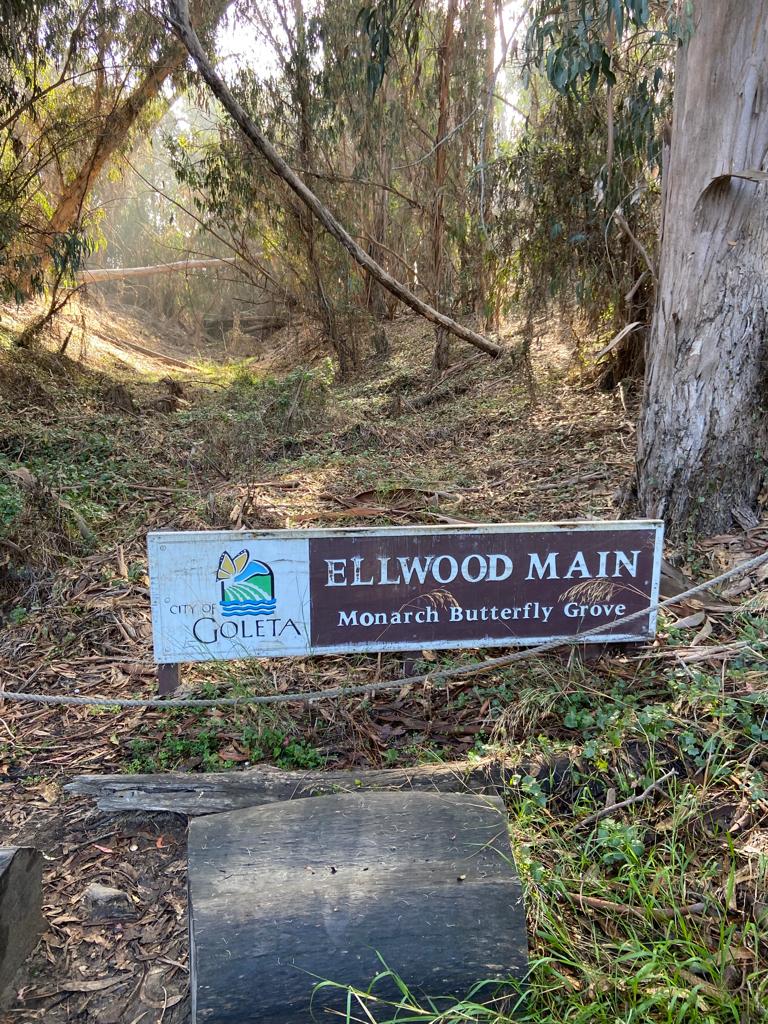 Ellwood Main