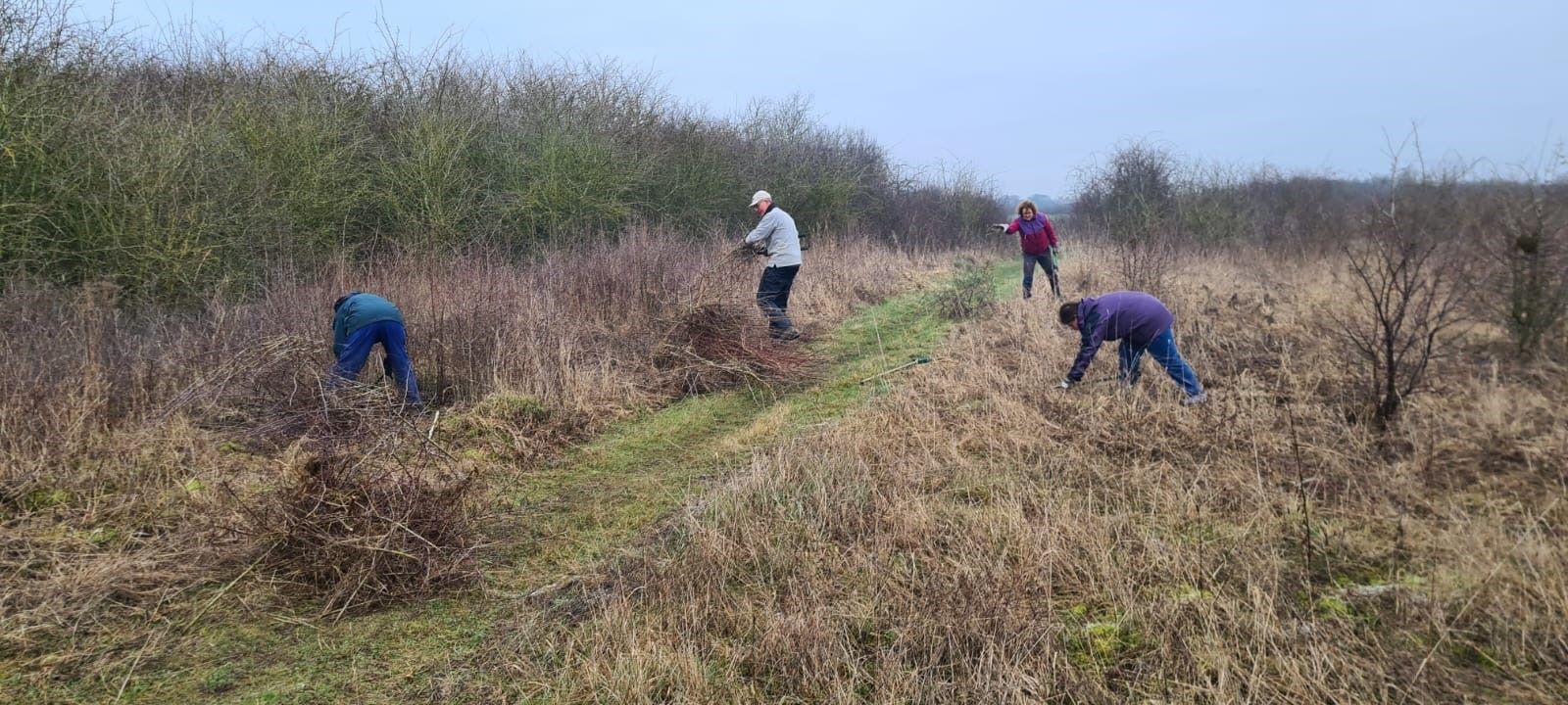 Scrub clearance before