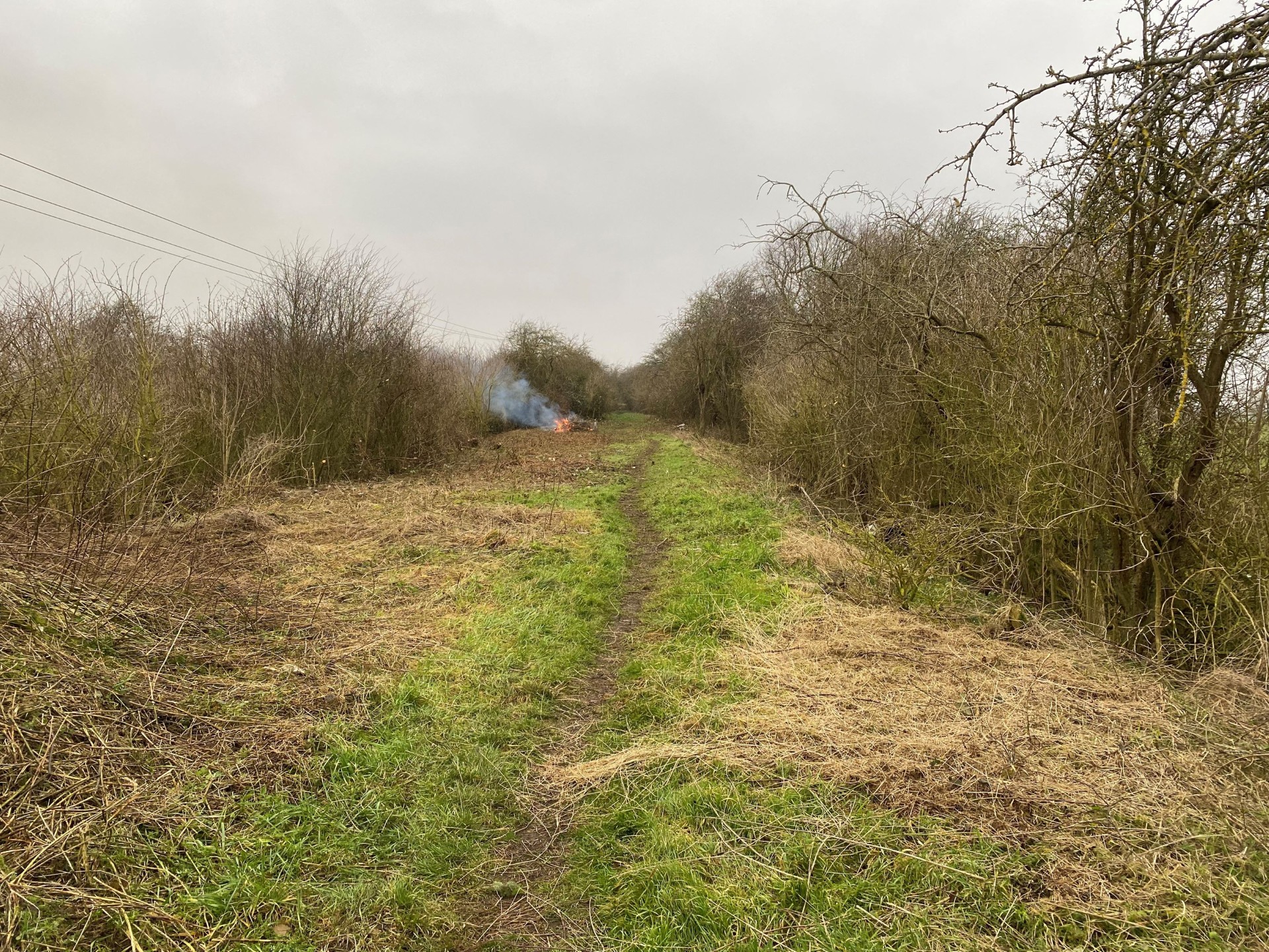 scrub clearance after