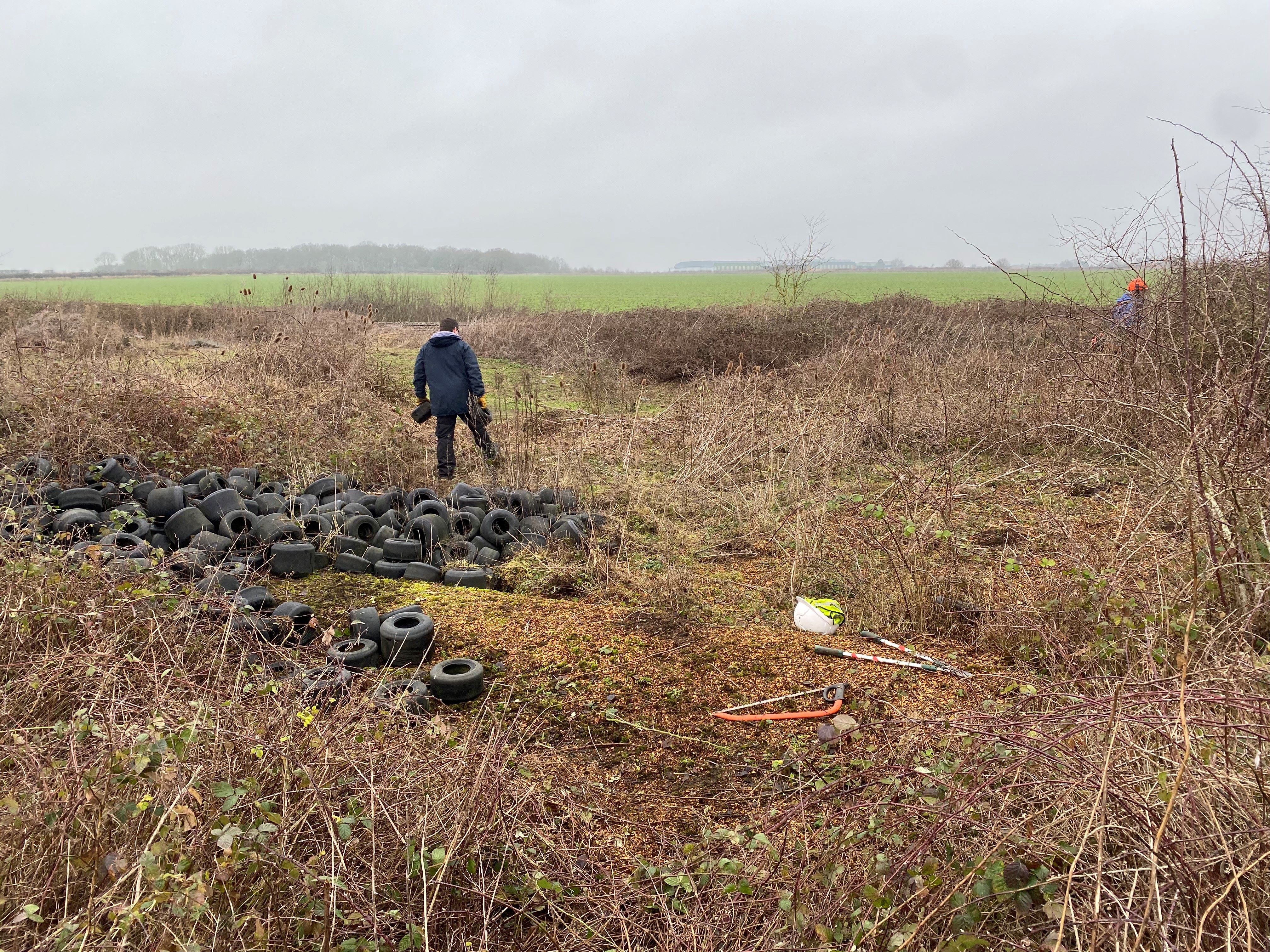 Scrub clearance before