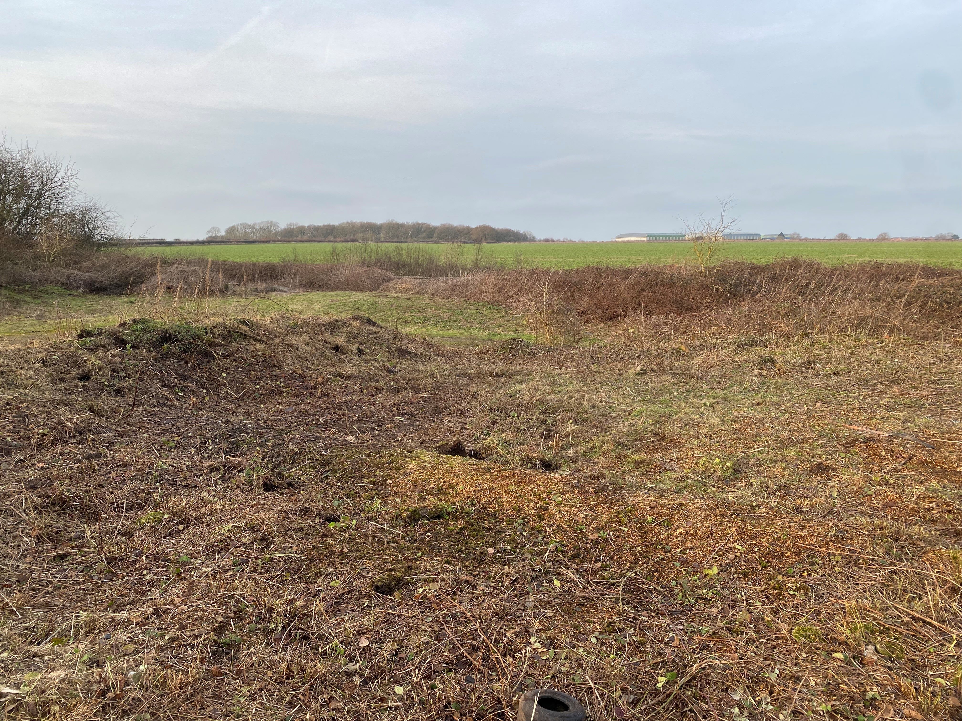 scrub clearance after