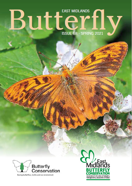 Butterfly Conservation East Midlands index