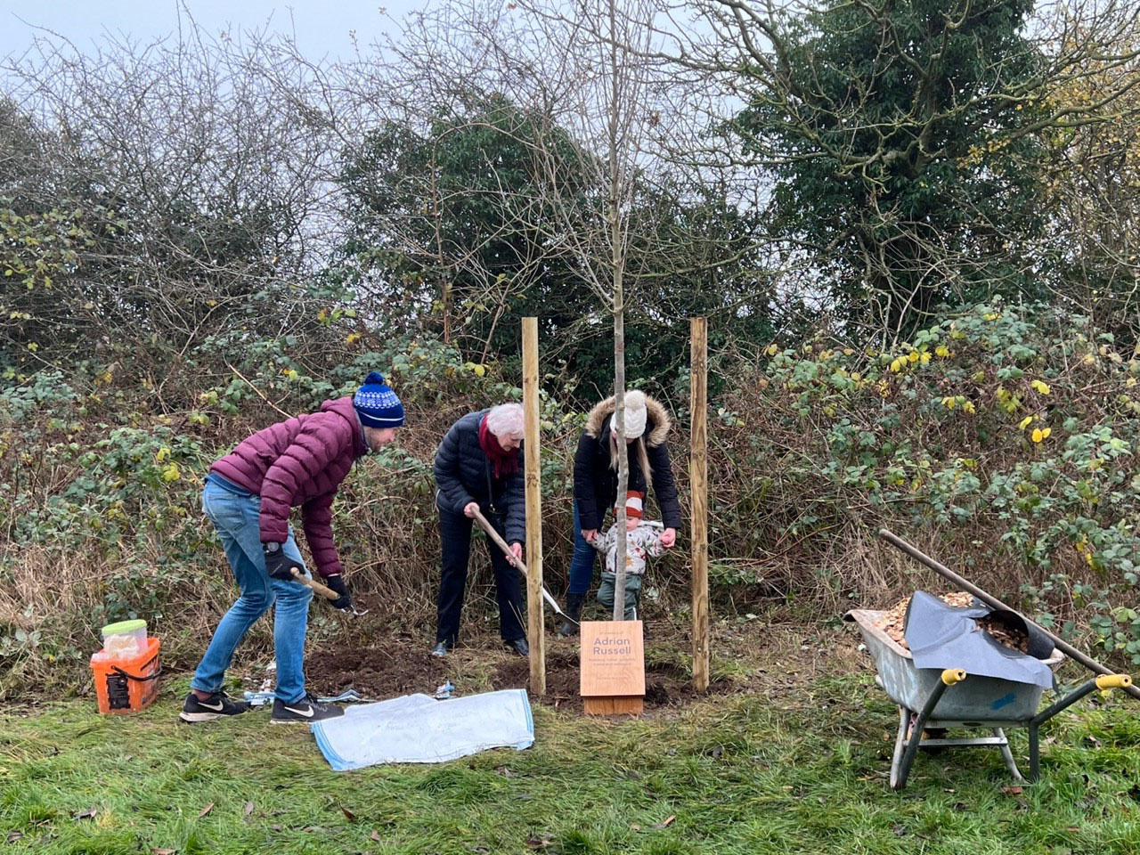 image of tree being planted