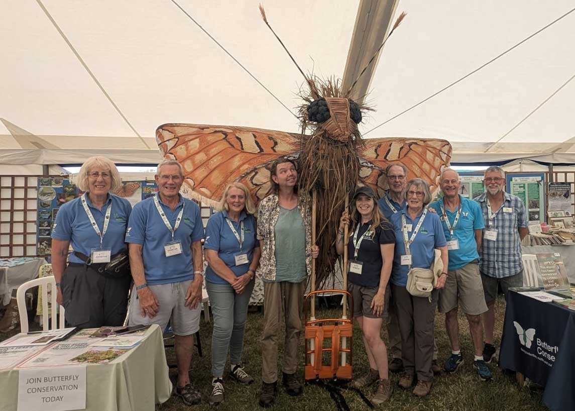 the butterfly conservation stand at the bird fair with volunteers