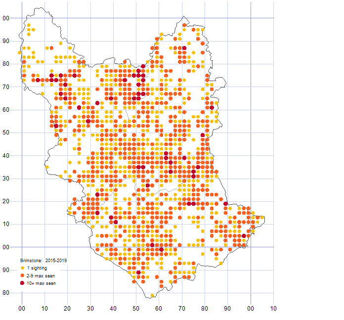 Brimstone distribution map 2015-19