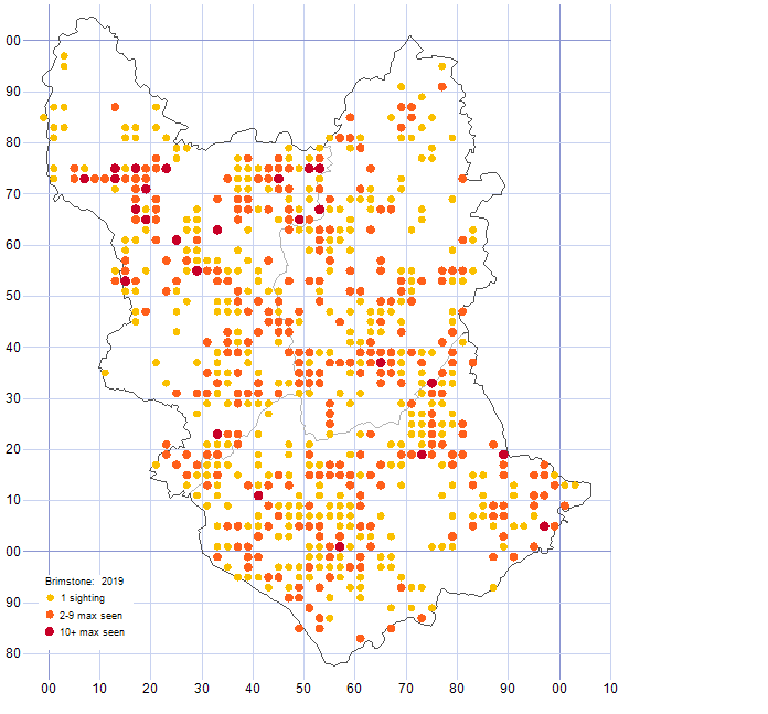 Brimstone distribution map 2019