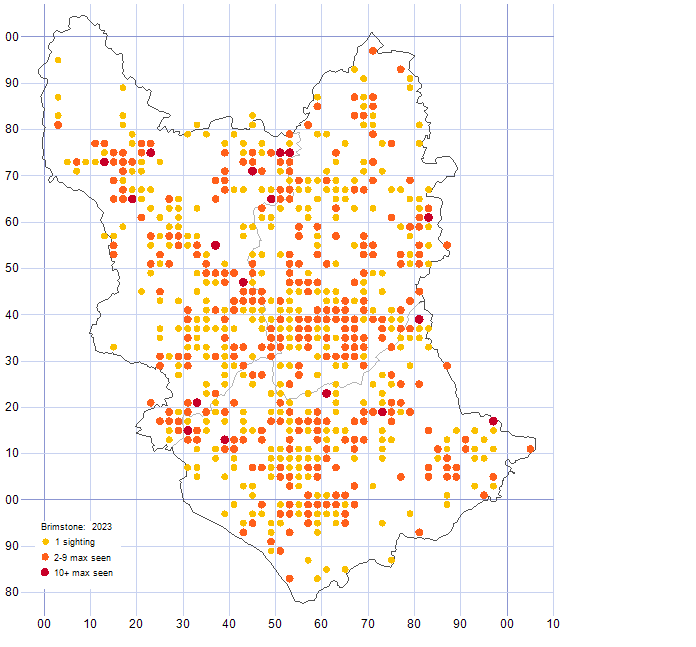 Brimstone distribution map 2023