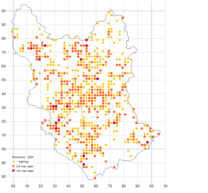 Brimstone distribution map 2024