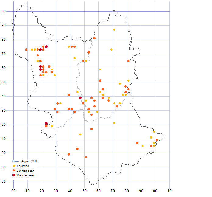 Brown Argus distribution map 2016