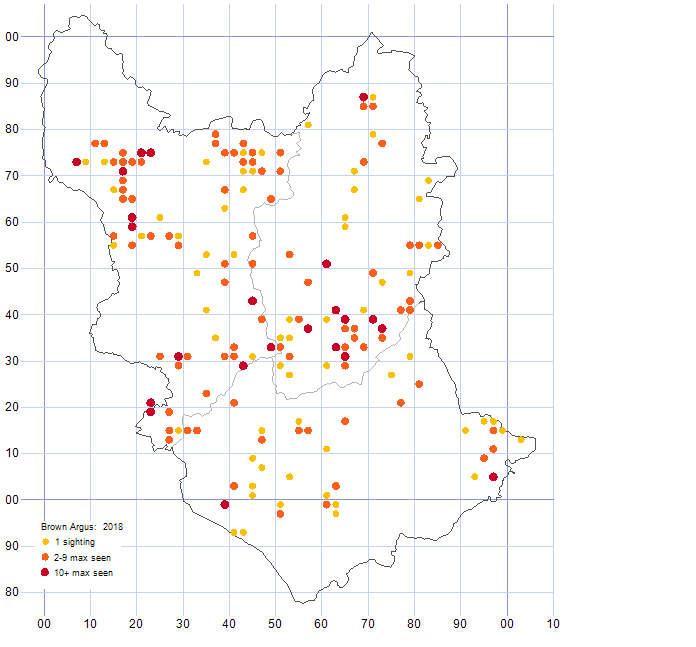 Brown Argus distribution map 2018