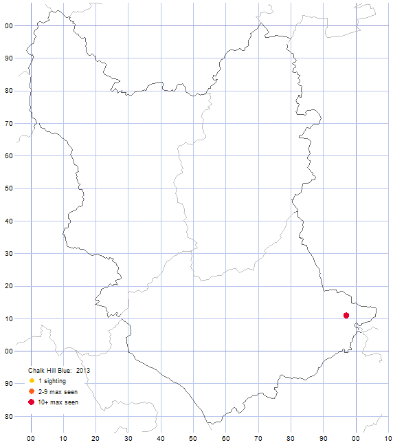 Chalkhill Blue distribution map 2013