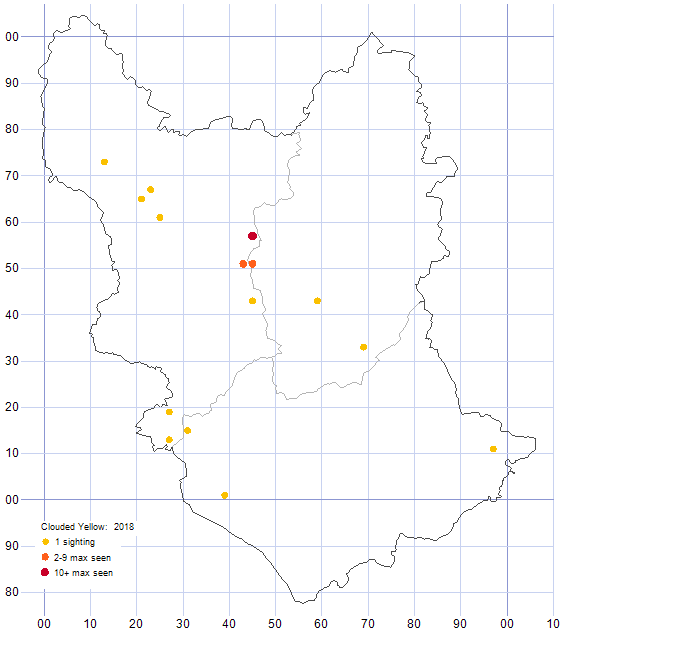 Clouded Yellow distribution map 2018