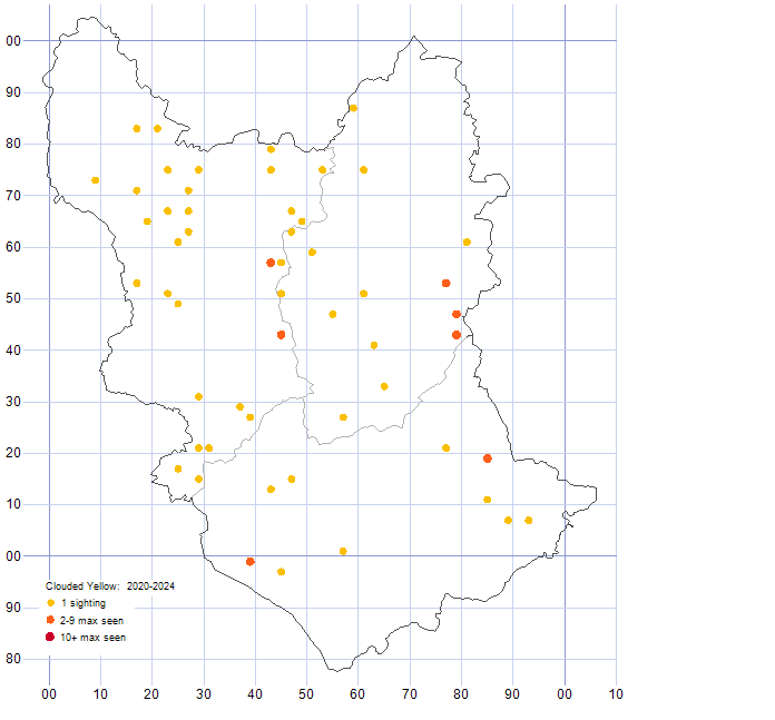Clouded Yellow distribution map 2020-2024
