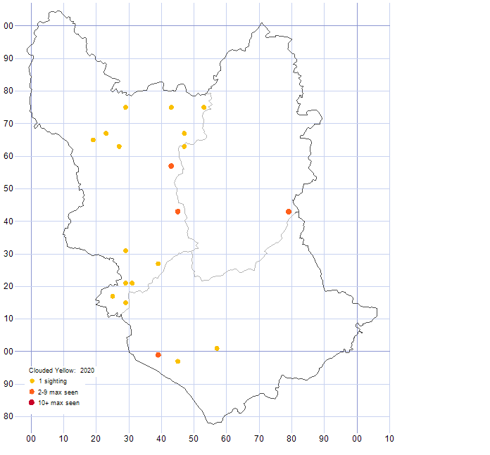 Clouded Yellow distribution map 2020