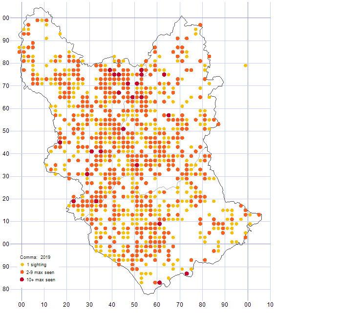 Comma distribution map 2019