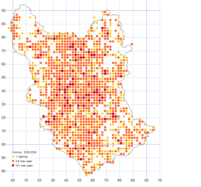 Comma distribution map 2020-24