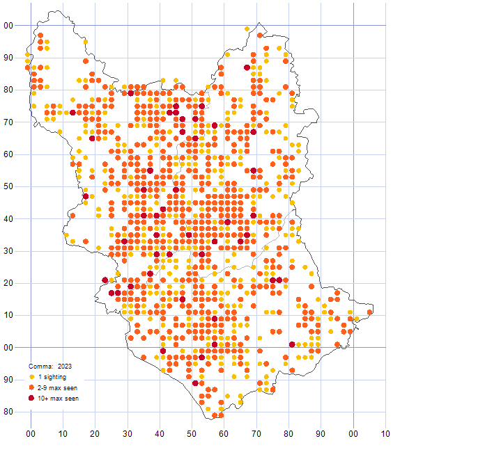 Comma distribution map 2023