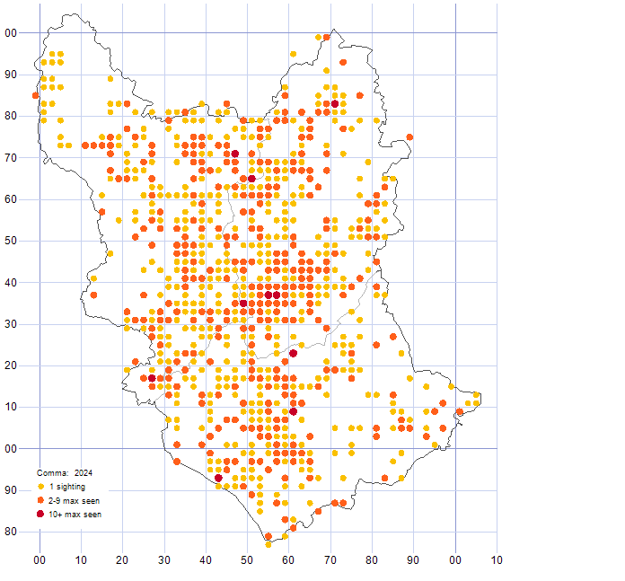 Comma distribution map 2024