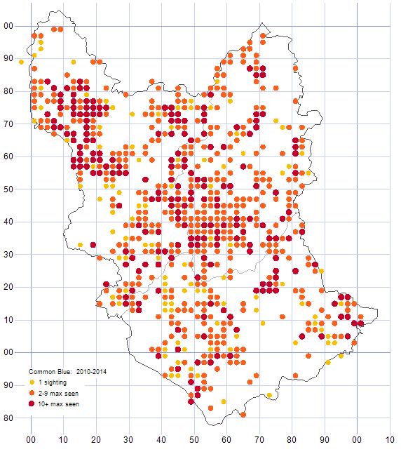 Common Blue distribution map 2010-14