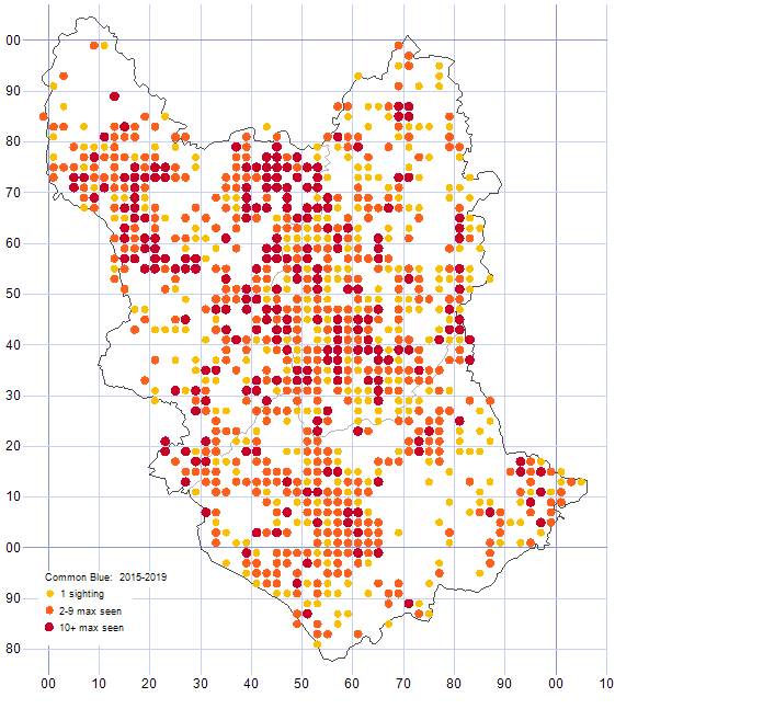 Common Blue distribution map 2015-19