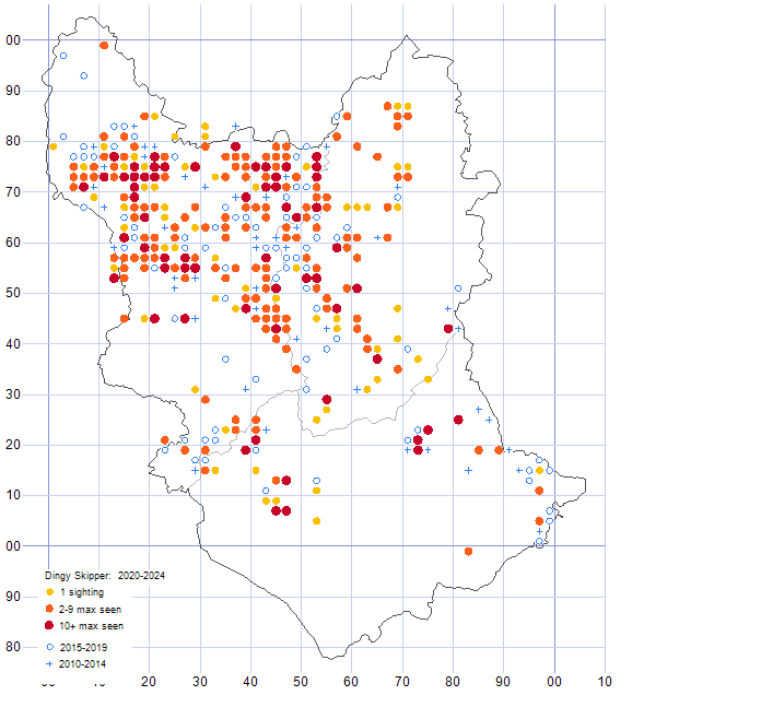 Dingy Skipper distribution map comparison of 2010-2024