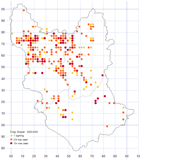 Dingy Skipper distribution map comparison of 2020-2024
