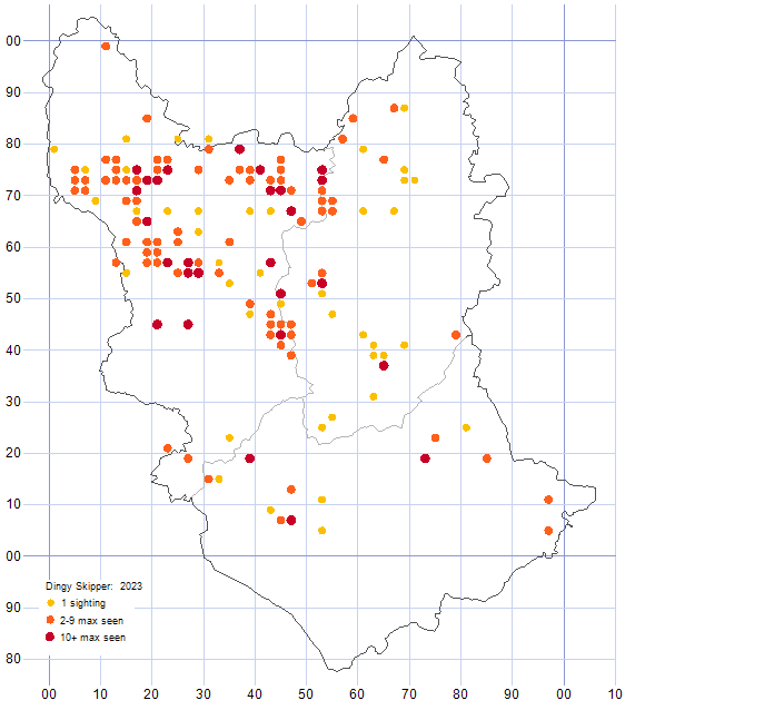 Dingy Skipper distribution map 2023