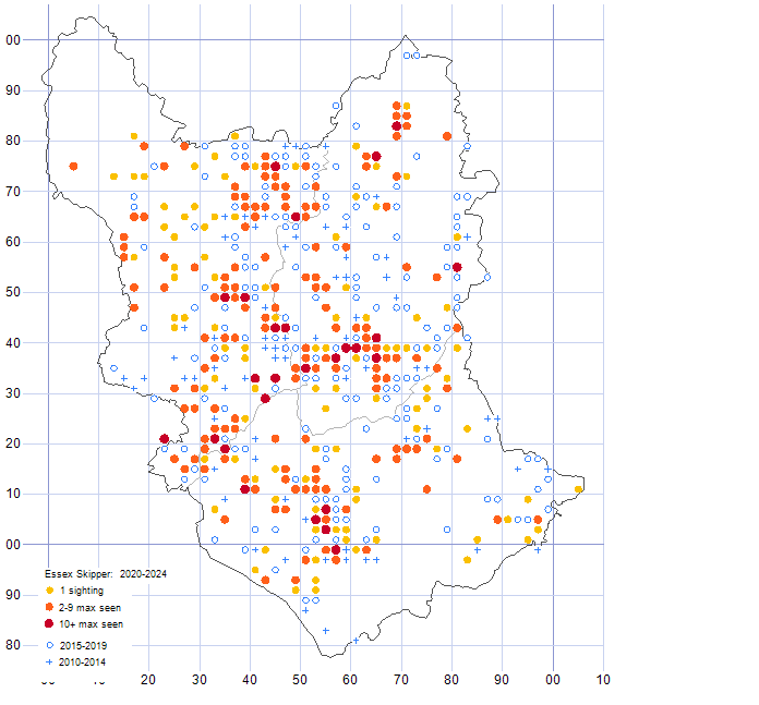 Essex Skipper distribution map comparison of 2010-24