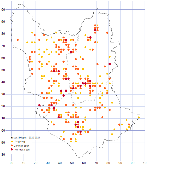 Essex Skipper distribution map comparison of 2020-24