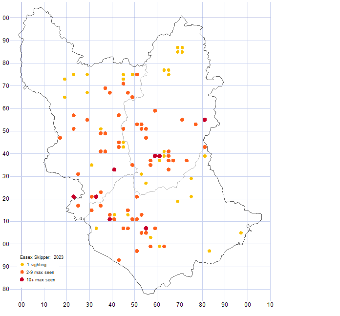 Essex Skipper distribution map 2023