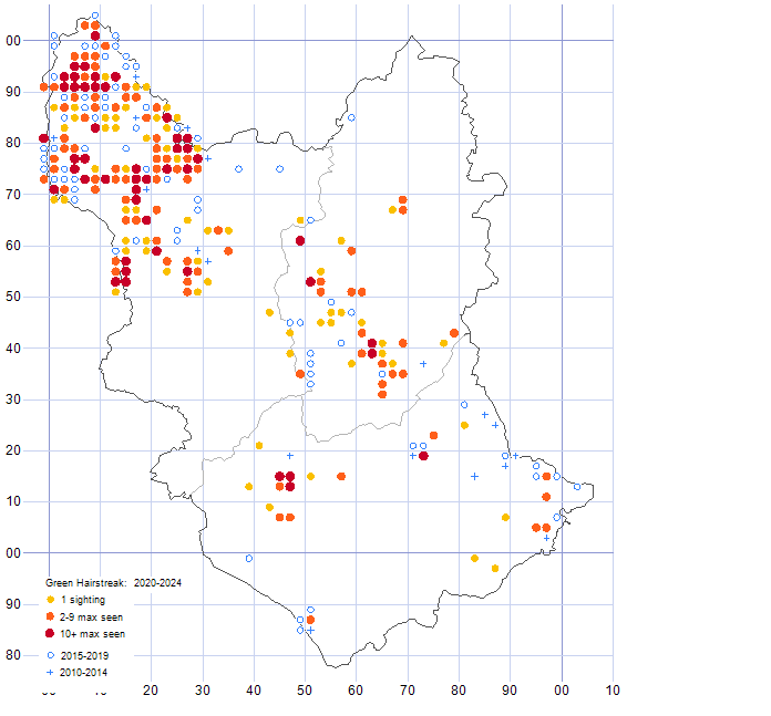 Green Hairstreak distribution map 2010-24