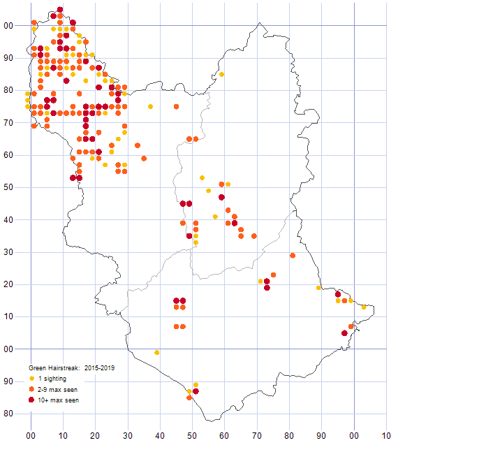 Green Hairstreak distribution map 2015-19