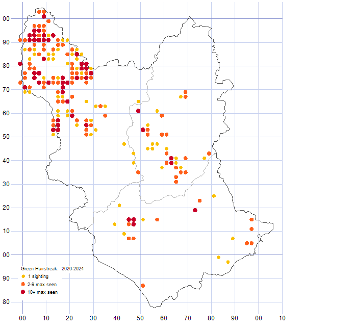 Green Hairstreak distribution map 2020-24