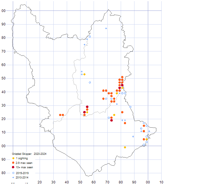 Grizzled Skipper distribution map 2010-24