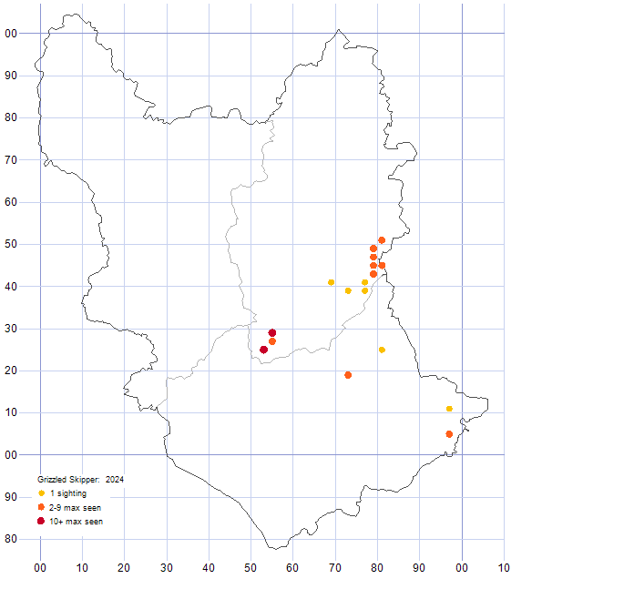 Grizzled Skipper distribution map 2024