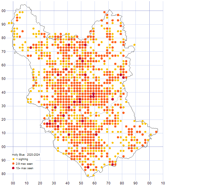 Holly Blue distribution map 2020-24