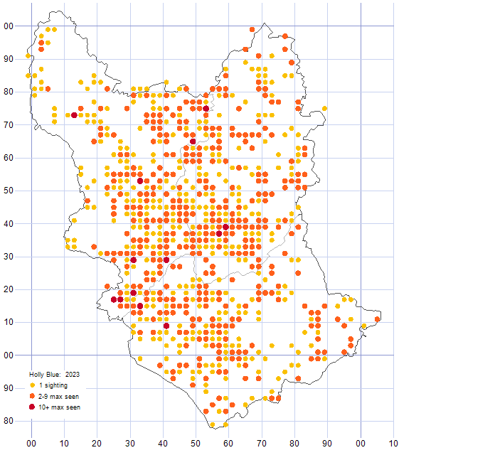 Holly Blue distribution map 2023