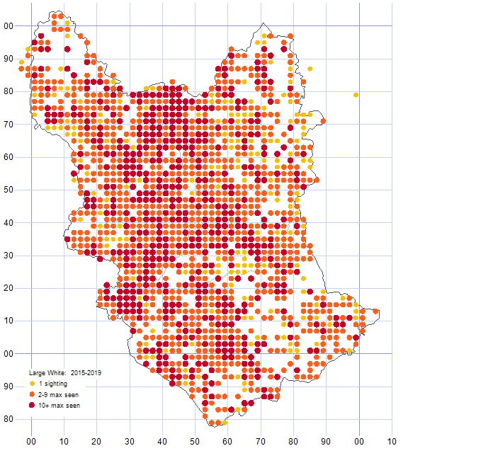 Large White distribution map 2015-19
