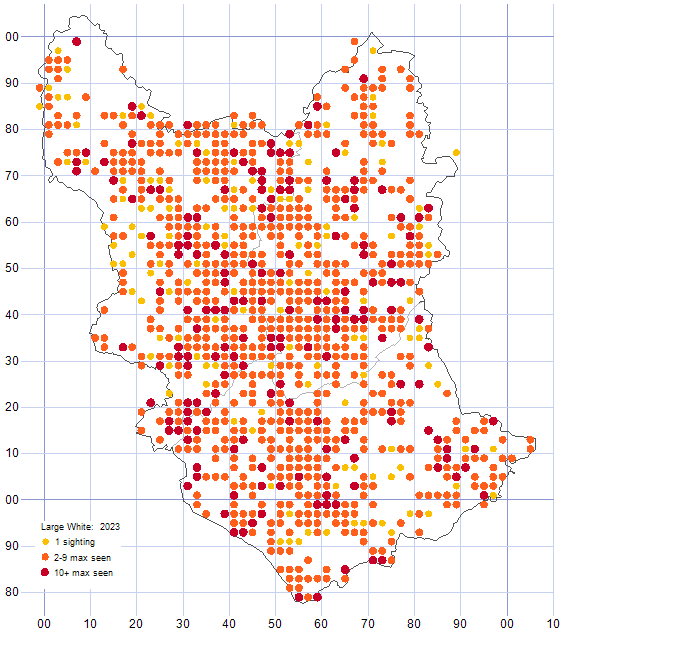 Large White distribution map 2023