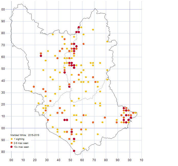 Marbled White distribution map 2015-19