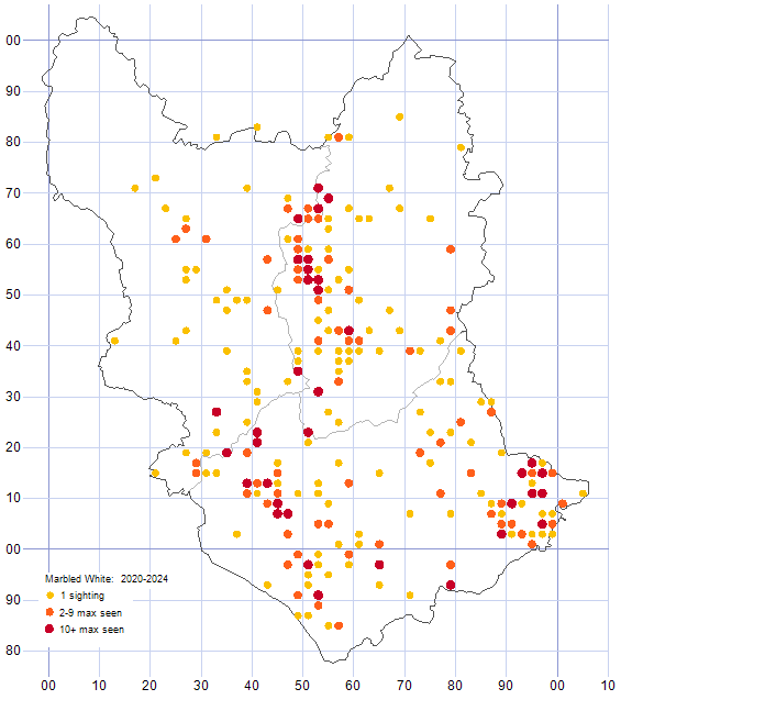 Marbled White distribution map 2020-24