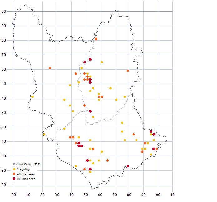 Marbled White distribution map 2023