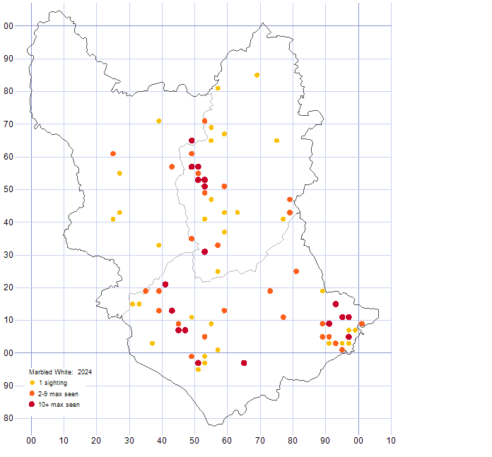 Marbled White distribution map 2024