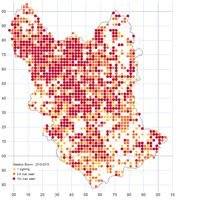 Meadow Brown distribution map 2015-19
