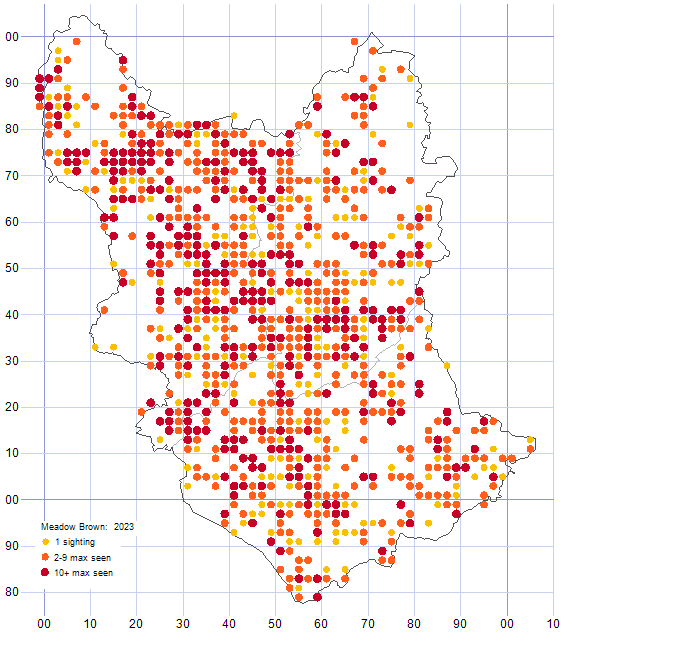 Meadow Brown distribution map 2023