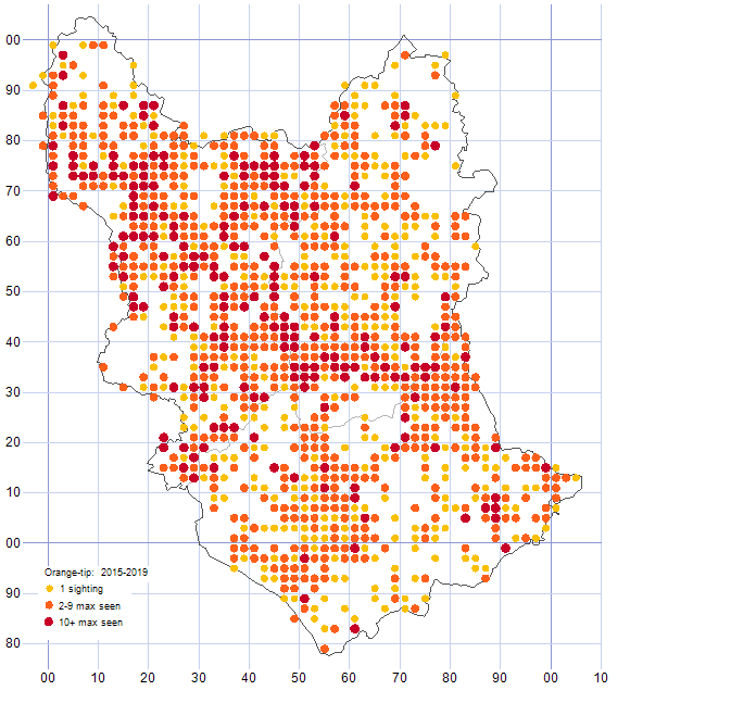 Orange-tip distribution map 2015-19