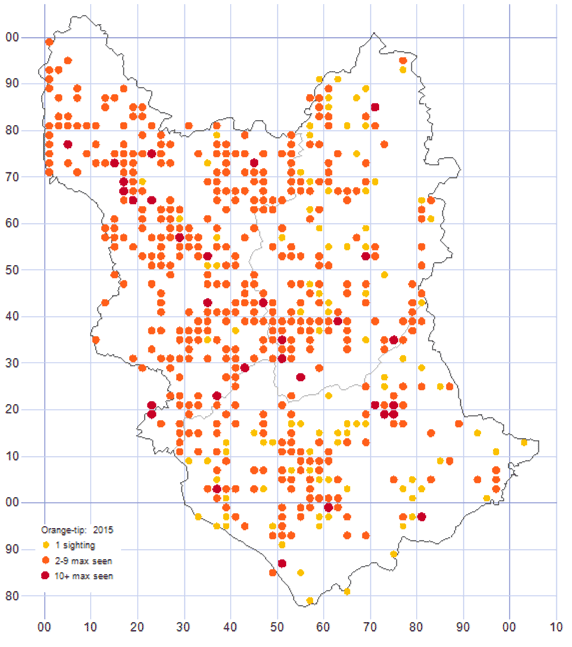 Orange-tip distribution map 2015