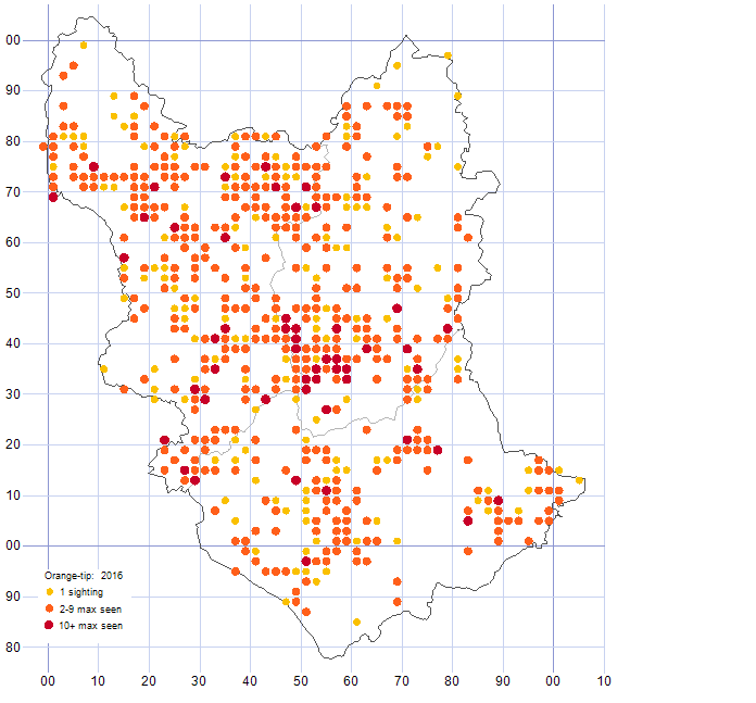 Orange-tip distribution map 2016